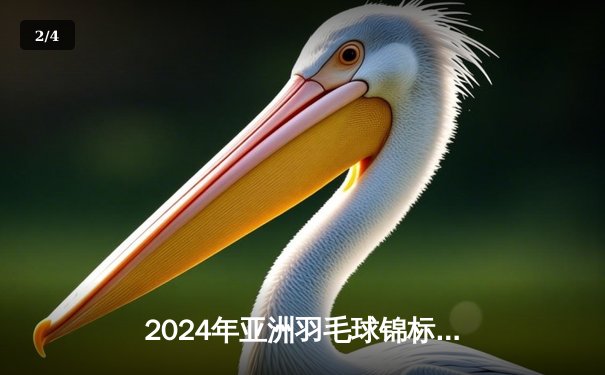 2024年亚洲羽毛球锦标赛：国羽包揽三金，石宇奇力克乔纳坦夺冠 - 2