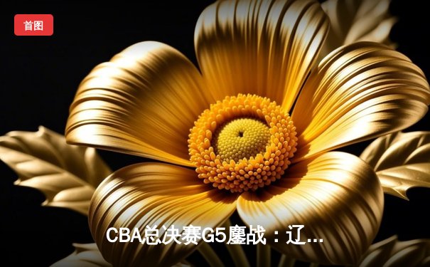 CBA总决赛G5鏖战：辽宁本钢加时逆转广东宏远 成功卫冕总冠军